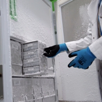 Ultra low Temp. Freezer (-80 C)