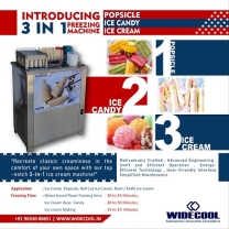 Popsicle / Kulfi/Lolly Ice Candy Plant